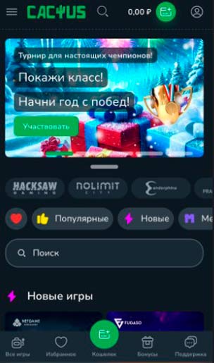 Программа казино Кактус для смартфонов на Андроид